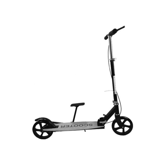 Adult Pro Scooter (1)