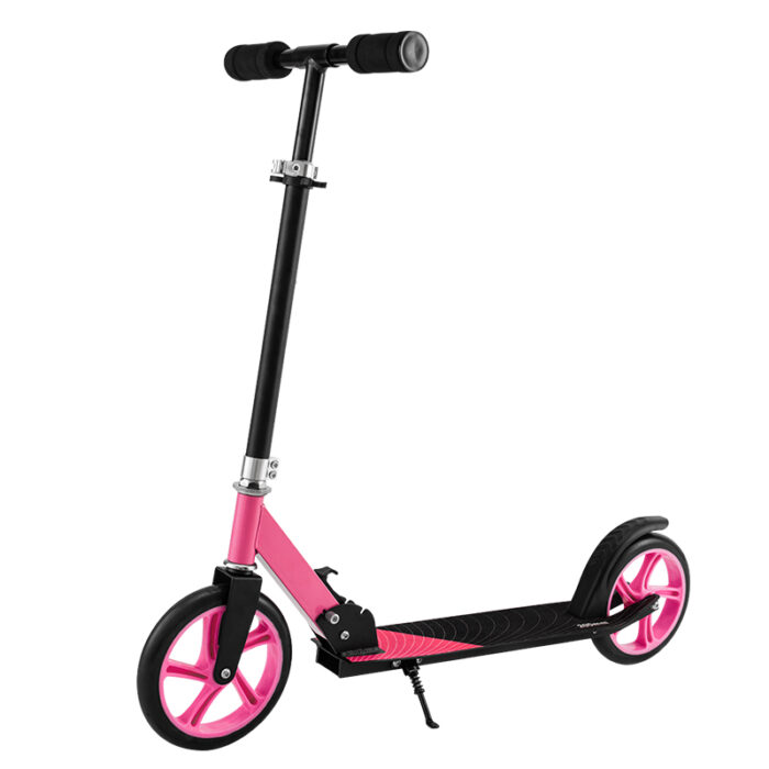 Urban Kick Scooter (1)