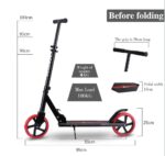 Urban Kick Scooter (2)